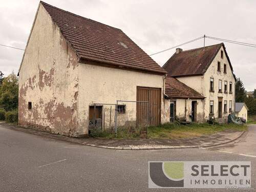 Ansicht schräg - 5 Zimmer Mehrfamilienhaus, Wohnhaus zum Kaufen in Freisen