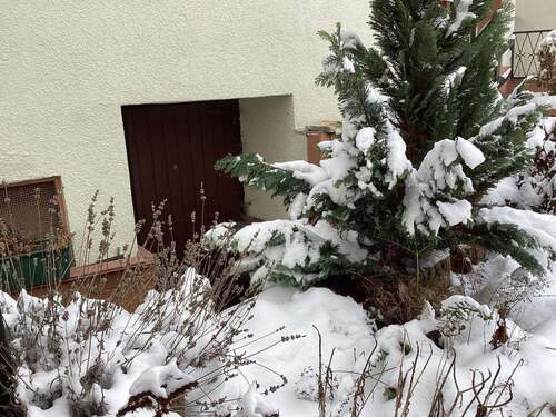 Kellerzugang Nebengebäude - 