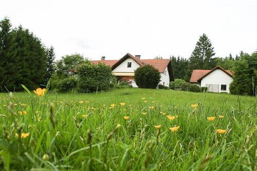 unbenannt-8600.jpg - 