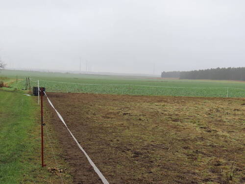 Außenansicht - Einfamilienhaus mit 128,00 m&sup2; in Arneburg zum Kaufen