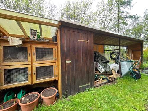 IMG_4526.jpeg - 