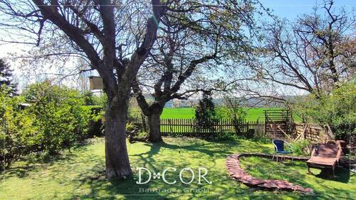 Garten mit altem Baumbestand - 