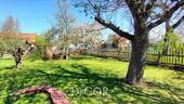 Garten mit altem Baumbestand - 