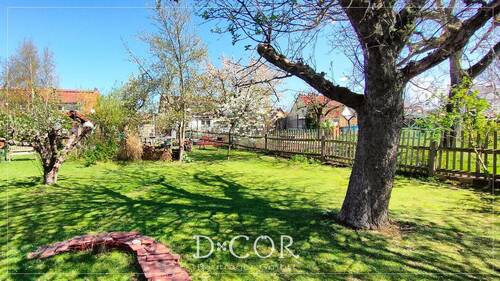 Garten mit altem Baumbestand - 