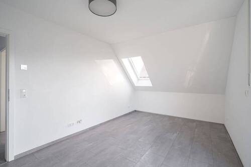Zimmer1.1 - 