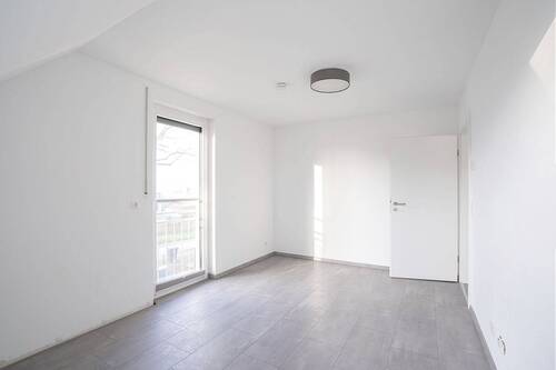 Zimmer1.2 - 