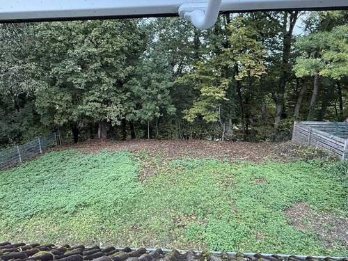 Bild 19 - 