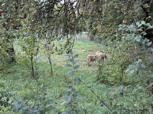 Bild 32 - 