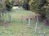 Bild 17 - 