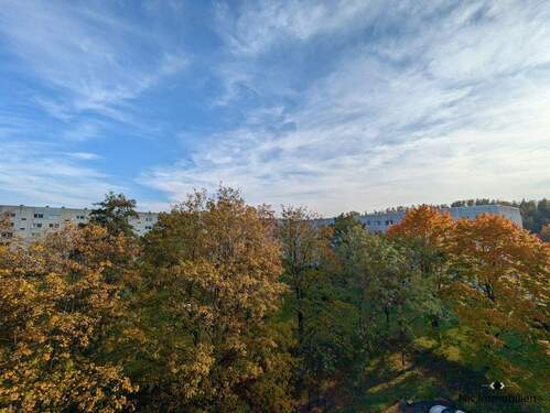 Ausblick - 