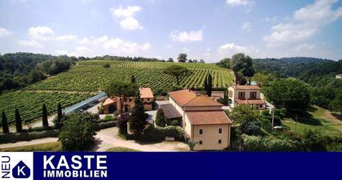 Titel - Immobilienkomplex mit Weingut in der Toskana mit Trüffelgebiet und Wildgehege