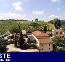 Immobilienkomplex mit Weingut in der Toskana mit Trüffelgebiet und Wildgehege - Montaione