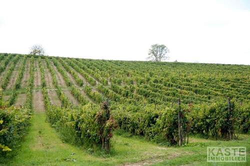 Aussenansicht - Mehrfamilienhaus, Wohnhaus mit 2,36 m&sup2; in Montaione zum Kaufen