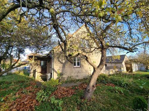 Haus- und Grundstücksansicht - Doppelhaushälfte mit Nebengebäude und zwei Garagen zum Sanieren…