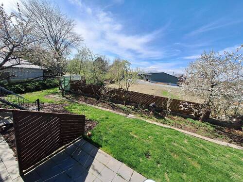 Blick in den Garten 3 - 