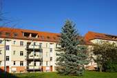Rückansicht - Tolkewitz, im Hochparterre: Balkon + Wanne