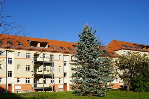 Rückansicht - Tolkewitz, im Hochparterre: Balkon + Wanne