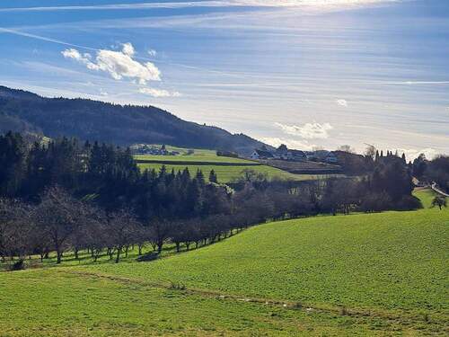 Natur gleich vor der Haustür - 