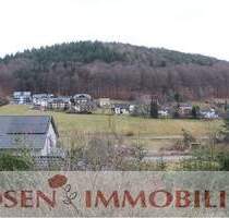 2 ZKB im Luftkurort - 450,00&nbsp;EUR Kaltmiete, ca.&nbsp; 50,00&nbsp;m&sup2;&nbsp;Wohnfl&auml;che in Grasellenbach (PLZ: 64689)