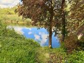 die Trave - 