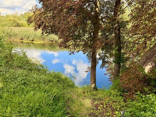 die Trave - 