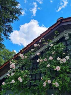 Rosen Garage - 8 Zimmer Einfamilienhaus in Olzheim