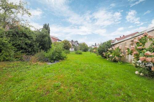 Blick in den Garten - 