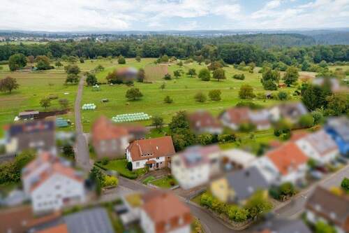 Blick in die Umgebung - 