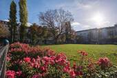 Nahegelegener Boxhagener Platz - 
