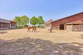 Bild 19 - 