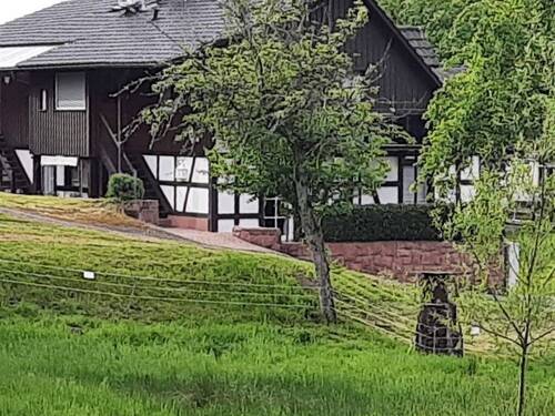Aussenansicht - Stilvolles Fachwerkhaus in Schwarzwaldlage - charmant, flexibel, naturnah, bis zu 3 Wohneinheiten
