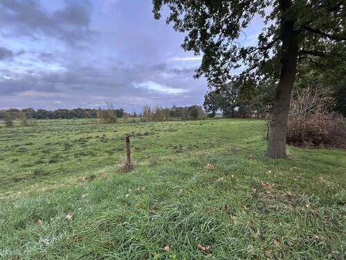 Angrenzende Fläche - 9 Zimmer Mehrfamilienhaus, Wohnhaus in Berne