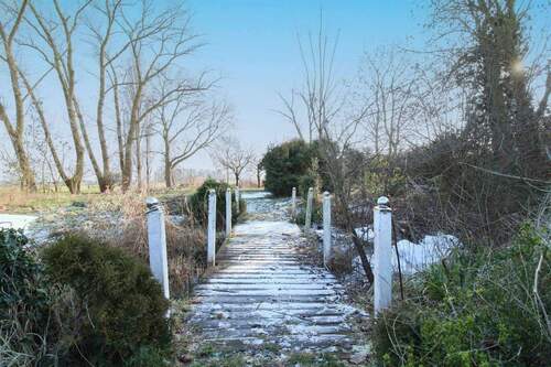 hinterer Teil Grundstück - 