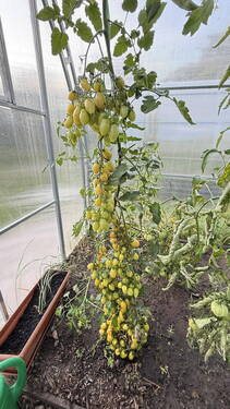 Bild 10 - 
