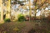 Garten II - 