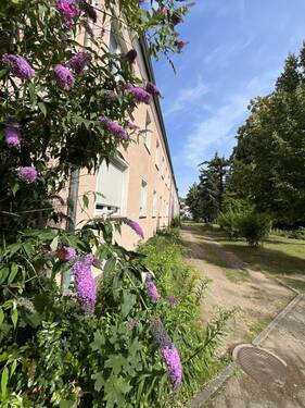Detailansicht - 3 Zimmer Etagenwohnung in Dessau-Roßlau