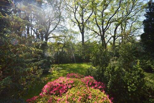 Blick in den Garten - 