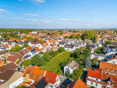 Ausblick über Deidesheim - Grundstück zum Kaufen in Deidesheim