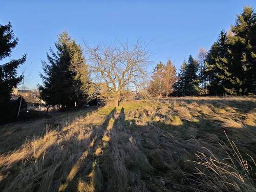 Garten.jpg - 7 Zimmer Einfamilienhaus in Bobritzsch-Hilbersdorf