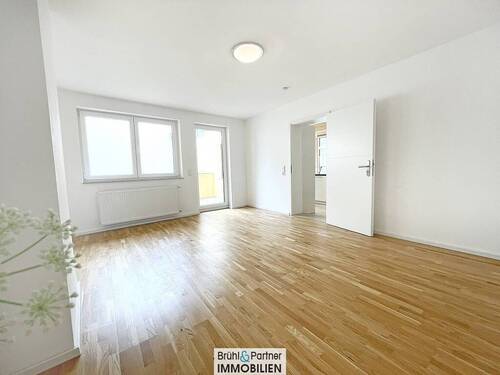 Dielenboden - Mehrfamilienhaus, Wohnhaus mit 366,80 m&sup2; in Nierstein zum Kaufen