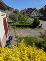 Teil vom Vorgarten - 