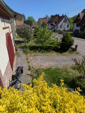 Teil vom Vorgarten - 