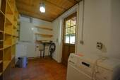 Kopp 4-17.JPG - 