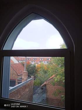 Blick in den grünen Garten - 