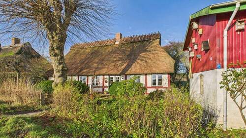 Ihr neues Zuhause - Traumhafte Reetdachkate mit Nebengebäude in Schleinähe