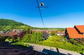 Ausblick - 