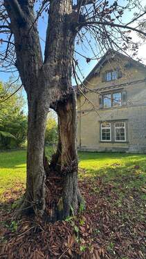 Bild 4 - Mehrfamilienhaus, Wohnhaus mit 397,00 m² in Weil der Stadt zum Kaufen