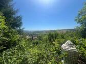 Blick - 