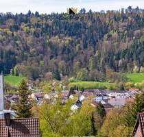 Großes Haus mit viel Platz & XXL Grundstück in Südhang Lage mit 1.159 m² und sehr schöner Aussicht! - Plüderhausen
