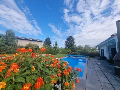 Pool - 